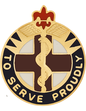 176th Medical Brigade Unit Crest Pin