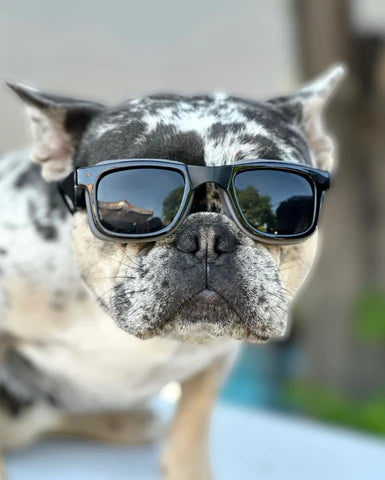 Kiloniner W1 Eye Defender Goggles