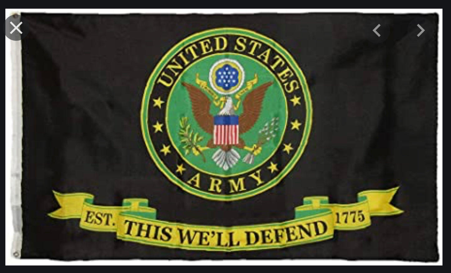 Army This We’ll Defend Flag
