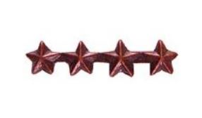 Ribbon Device: 3/16" Bronze Star 4