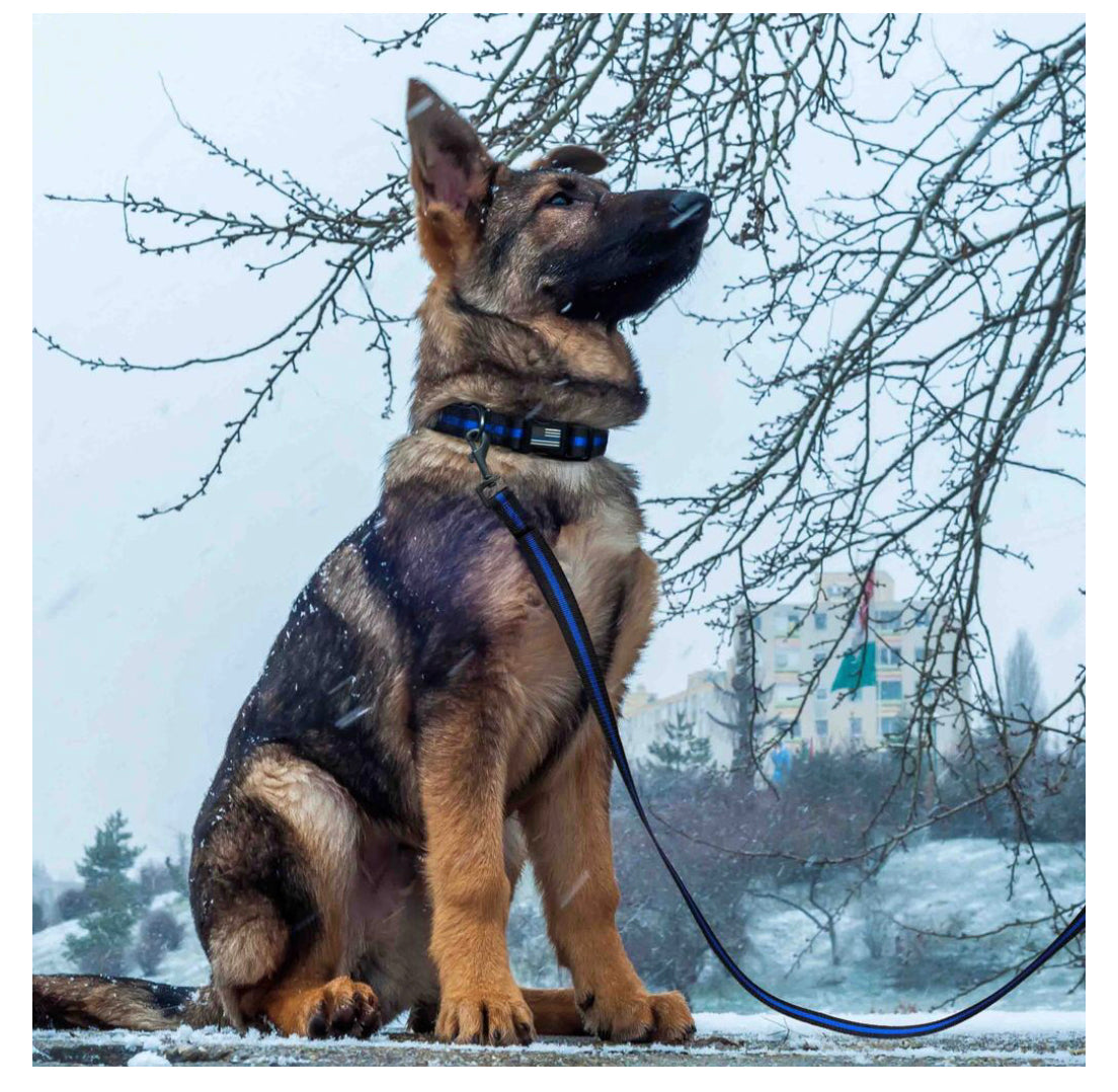 Thin Blue Line Pet Leash