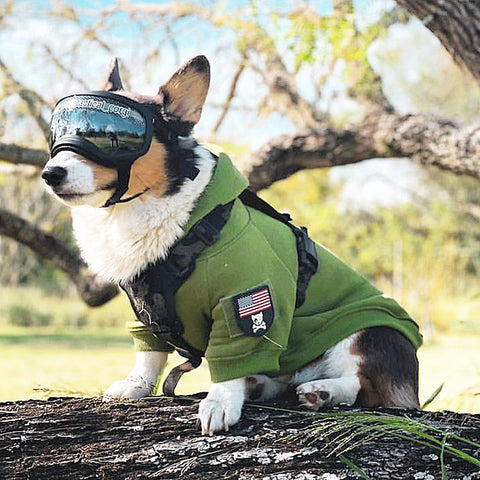 KiloNiner H1 Tactical Dog Hoodie - Small Dog