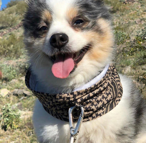 Kiloniner Active Cooling Scarf