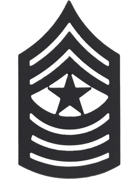 Marine Rank Black Pin - Pair