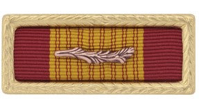 Army Viet Cross of Gallantry w/ Frame