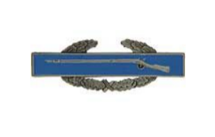 CIB 1st Award Badge - Mini