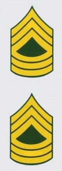 Army Rank 2-Piece Decal