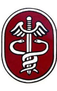 Army Health Services Decal