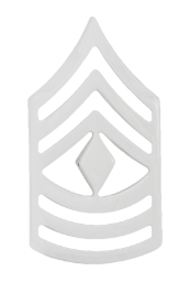 Police Rank Pins Silver - PAIR