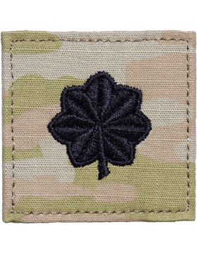 USAF Airman  OCP Rank with Fastener