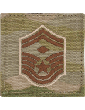 USAF Airman  OCP Rank with Fastener