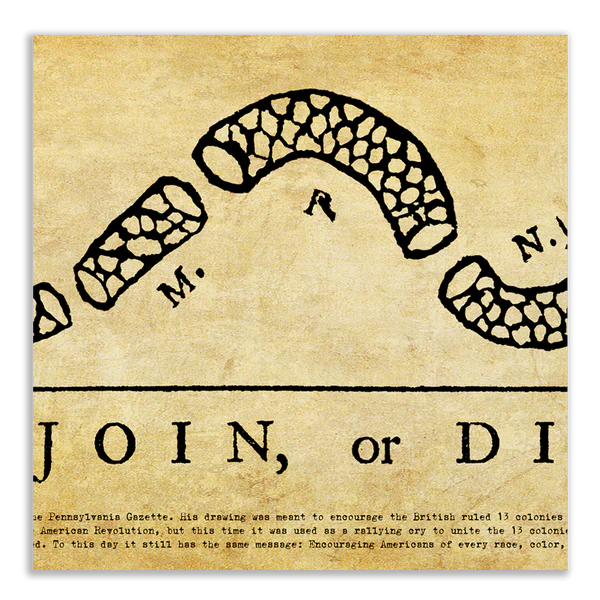 Join or Die Print