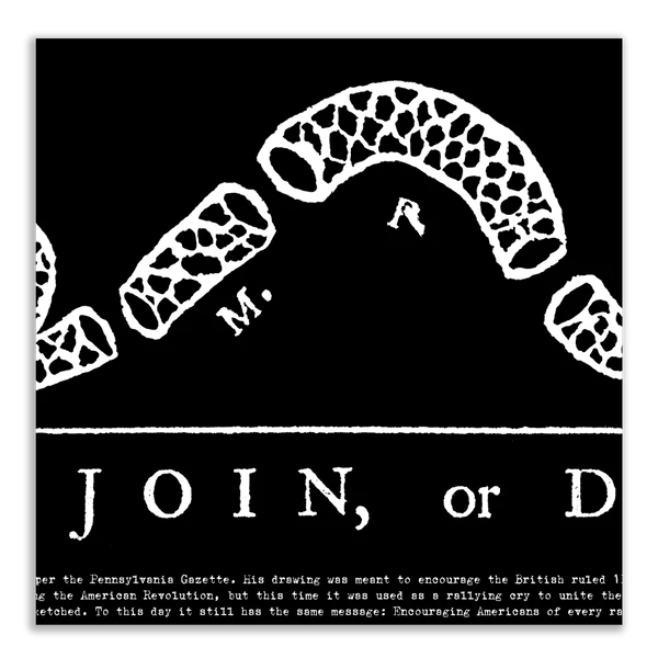 Join or Die Print