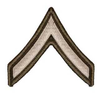 Army Chevrons (AGSU) - PAIR