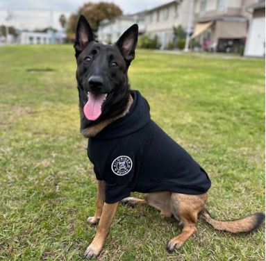 KiloNiner H1 Tactical Dog Hoodie - BIG Dog