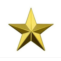 1 Gold Star Ribbon Device