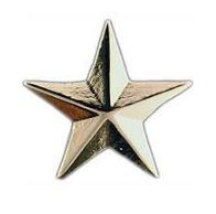 No Shine Rank Pins 11/16" - Silver PAIRS