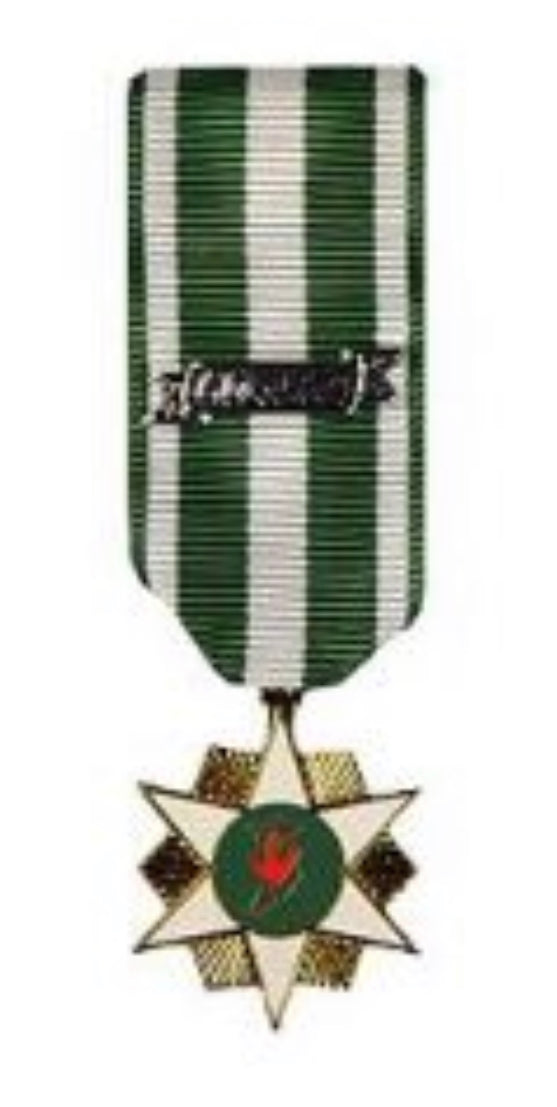 Vietnam Campaign w/ Date Bar Medal