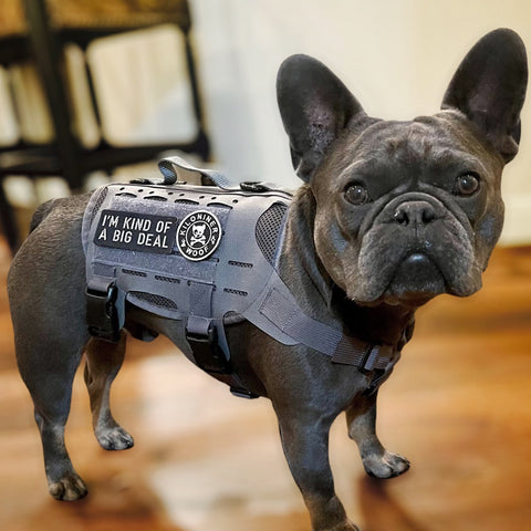 KiloNiner I'm Kind of a Big Deal Patch