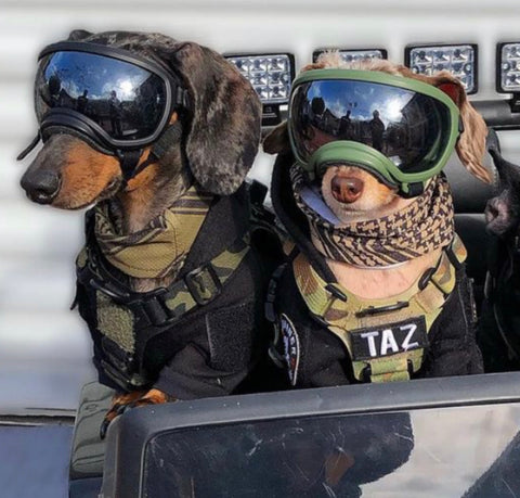 Kiloniner Active Cooling Scarf