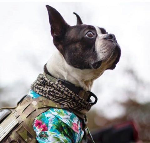 Kiloniner Active Cooling Scarf