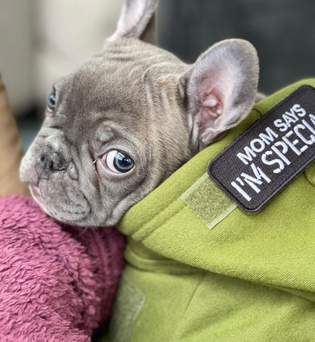 KiloNiner Mom Says I'm Special Patch