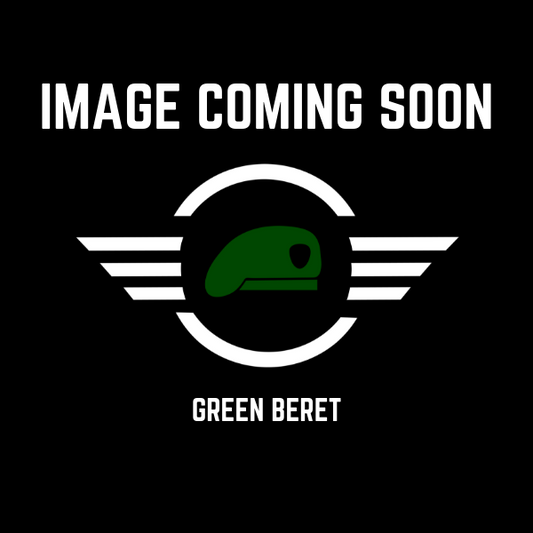 Patch 1st Bat. 9th Marines