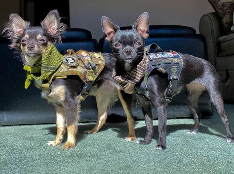 KiloNiner M4 Tactical LC MOLLE Vest