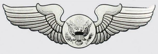 Air Force Aircrew Wings Decal