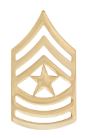 Army Rank Pin Gold - PAIR
