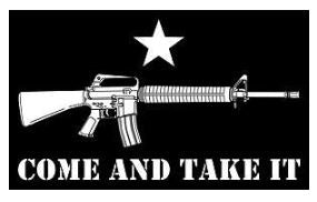 Come & Take It Flag - Black 3 x 5''