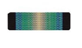 Antarctic Service Ribbon