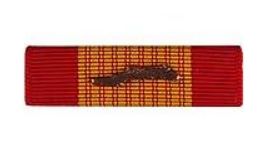 Viet Cross of Gall w/ Palm Ribbon