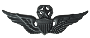 Master Aviator Badge Pin