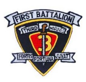 1st Battalion 3rd Marine Patch
