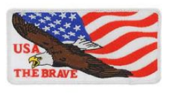 USA The Brave Eagle Patch