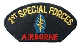 1st Special Forces Airborne Hat Patch