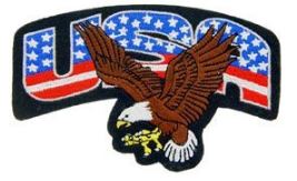 RWB USA Eagle Patch