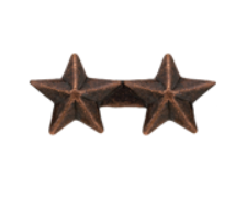 Ribbon Device: 3/16" Bronze Star 2