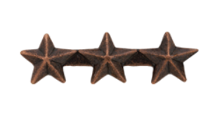 Ribbon Device: 3/16" Bronze Star x 3