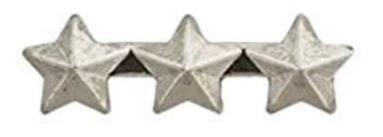 Silver Star Ribbon Device 3/16"