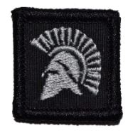 Spartan Head Velcro Patch