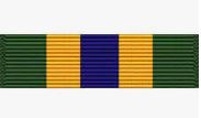 Texas National Guard Homeland Defense Ribbon