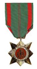Vietnam Civil Action 1st Class Medal